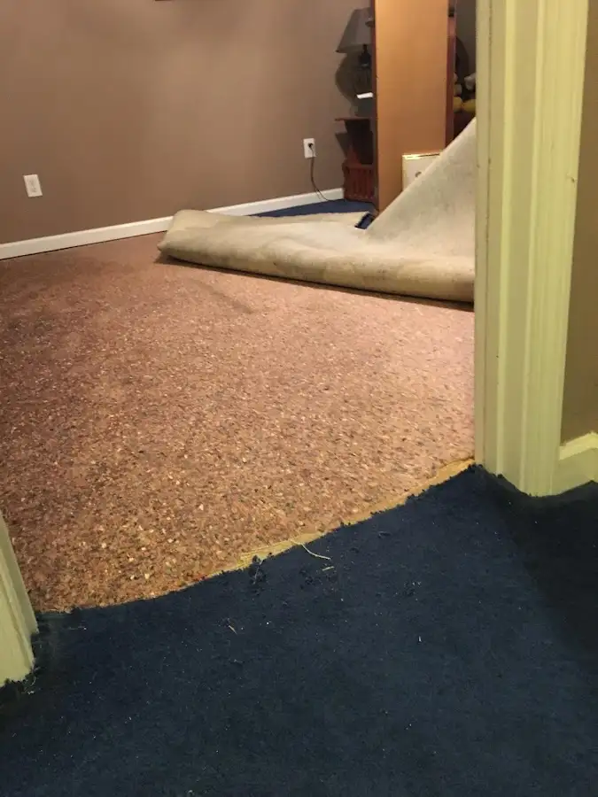 Carpet pad removal revealing water damage during Water Mitigation Services in Rumson