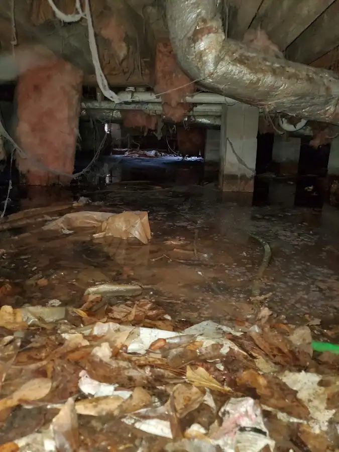 Crawl space flood assessment for Leak Detection & Repair in Rumson