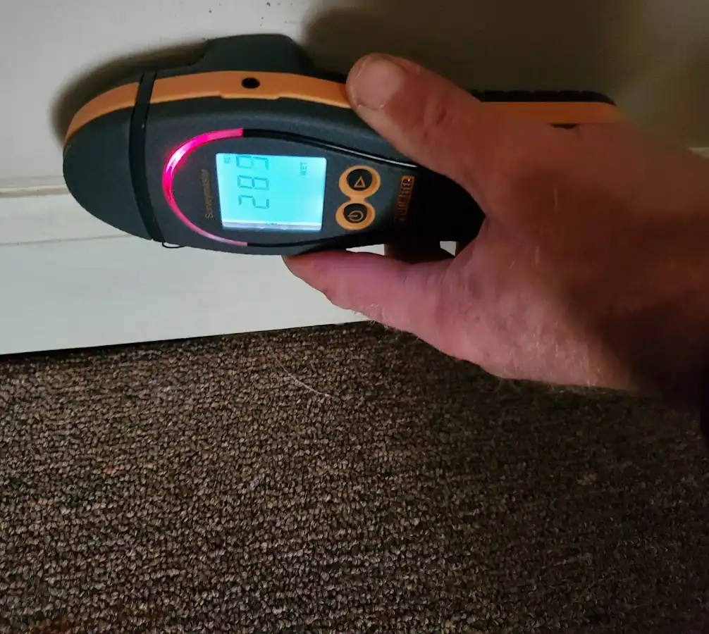 Moisture detection at baseboard during Sewage Cleanup & Sanitation in Rumson